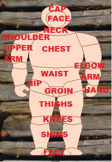 Different bodyparts armour can cover